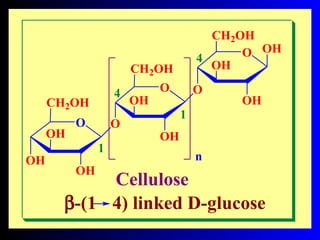 β-)1 4( linked D-glucose
O
OH
O
OH
CH2OH
O
OH
OH
CH2OH
O
O OH
OH
OH
CH2OH
OH
1
4
4
1
n
Cellulose
 