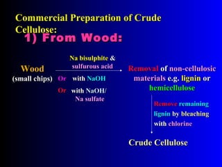 Commercial Preparation of CrudeCommercial Preparation of Crude
Cellulose:Cellulose:
Crude CelluloseCrude Cellulose
WoodWood
)small chips()small chips(
RemovalRemoval ofof non-cellulosicnon-cellulosic
materialsmaterials e.g.e.g. ligninlignin oror
hemicellulosehemicellulose
Na bisulphiteNa bisulphite &&
sulfurous acidsulfurous acid
withwith NaOHNaOH
RemoveRemove remainingremaining
ligninlignin byby bleachingbleaching
withwith chlorinechlorine
1) From Wood:1) From Wood:
OrOr
OrOr withwith NaOH/NaOH/
Na sulfateNa sulfate
 