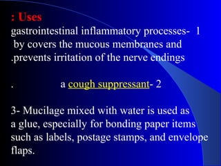 Uses:
1-gastrointestinal inflammatory processes
by covers the mucous membranes and
prevents irritation of the nerve endings.
2-a cough suppressant.
3- Mucilage mixed with water is used as
a glue, especially for bonding paper items
such as labels, postage stamps, and envelope
flaps.
 