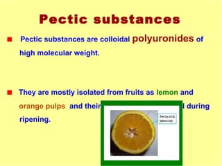 Pectic substances
■ Pectic substances are colloidal polyuronides of
high molecular weight.
■ They are mostly isolated from fruits as lemon and
orange pulps and their structures are changed during
ripening.
 