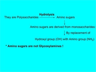 They are Polysaccharides
Hydrolysis
Amino sugars
Amino sugars are derived from monosaccharides:
By replacement of
Hydroxyl group (OH) with Amino group (NH2)
* Amino sugars are not Glycosylamines !
 