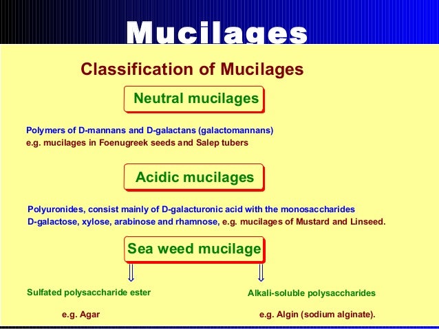 galactose oxidase structure Polysaccharides galactose oxidase structure Polysaccharides