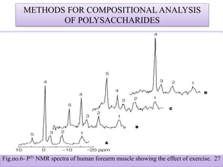 METHODS FOR COMPOSITIONAL ANALYSIS
OF POLYSACCHARIDES
Fig.no.6- P31 NMR spectra of human forearm muscle showing the effect of exercise. 27
 