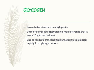 GLYCOGEN
– Has a similar structure to amylopectin
– Only difference is that glycogen is more branched that is
every 10 glycosal residues
– Due to this high branched structure, glucose is released
rapidly from glycogen stores
 