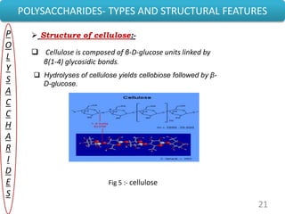 21
POLYSACCHARIDES- TYPES AND STRUCTURAL FEATURES
P
O
L
Y
S
A
C
C
H
A
R
I
D
E
S
 Structure of cellulose:-
 Cellulose is composed of β-D-glucose units linked by
β(1-4) glycosidic bonds.
 Hydrolyses of cellulose yields cellobiose followed by β-
D-glucose.
Fig 5 :- cellulose
 