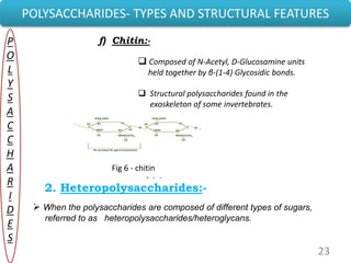 23
POLYSACCHARIDES- TYPES AND STRUCTURAL FEATURES
P
O
L
Y
S
A
C
C
H
A
R
I
D
E
S
f) Chitin:-
 Composed of N-Acetyl, D-Glucosamine units
held together by β-(1-4) Glycosidic bonds.
 Structural polysaccharides found in the
exoskeleton of some invertebrates.
Fig 6 :- chitin
2. Heteropolysaccharides:-
 When the polysaccharides are composed of different types of sugars,
referred to as heteropolysaccharides/heteroglycans.
Fig 6 - chitin
 