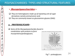 24
POLYSACCHARIDES- TYPES AND STRUCTURAL FEATURES
P
O
L
Y
S
A
C
C
H
A
R
I
D
E
S
 Mucopolysaccharides :-
 They are heteroglycans made up of repeating unit of sugar
derivatives namely amino/uronic acid.
 They are commonly known as glucosamine glycans (GAG).
a) PROTEOGLYCANS:-
 Some of the Mucopolysaccharides found in
combination with proteins to form
mucoproteins/proteoglycans.
Fig 7 - proteoglycans
 