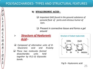25
b) HYALURONIC ACID:-
 Important GAG found in the ground substance of
synovial fluid of joints and vitreous humor of
eyes.
 Present in connective tissue and forms a gel
around
POLYSACCHARIDES- TYPES AND STRUCTURAL FEATURES
P
O
L
Y
S
A
C
C
H
A
R
I
D
E
S
 Structure of Hyaluronic
Acid:-
 Composed of alternative units of D-
Glucoronic acid and N-acety
D-Glucosamine. These two molecules formed
disaccharides units held
together by β-(1-3) Glycosidic
bonds.
Fig 8 – Hyaluronic acid
 