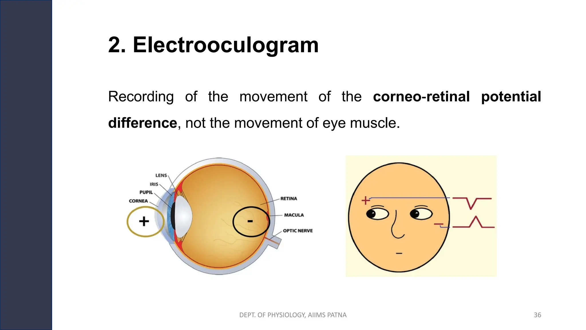 2. Electrooculogram
Recording of the movement of the corneo‐retinal potential
difference, not the movement of eye muscle.
DEPT. OF PHYSIOLOGY, AIIMS PATNA 36
 