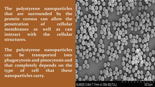 The polystyrene nanoparticles
that are surrounded by the
protein corona can allow the
penetration of cellular
membranes as well as can
interact with the cellular
structures.
The polystyrene nanoparticles
can be transported into
phagocytosis and pinocytosis and
that completely depends on the
type of cell that these
nanoparticles carry.
 