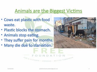 07/28/2026 polythenefreefoundation@gmail.com 6
Animals are the Biggest Victims
• Cows eat plastic with food
waste.
• Plastic blocks the stomach.
• Animals stop eating.
• They suffer pain for months.
• Many die due to starvation.
 