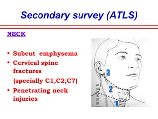 Secondary survey (ATLS)
HEAD
• Glasgow coma scale
• Reaction and size of pupils
• Plantar response
• Signs of rhinorrhoea,otorrhoea
 