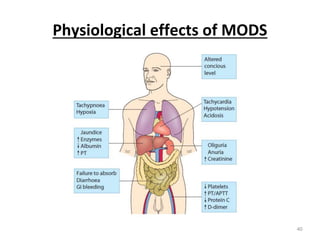 Physiological effects of MODS
40
 