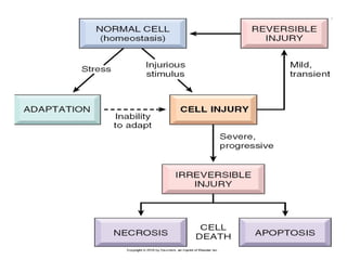 Polytraumatic Polytrauma part 3 (FES) | PPT