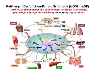 Multi Organ Dysfunction Development Polytrauma part 4 (SEPSIS) | PPT