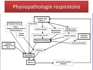 Physiopathologie respiratoire
 