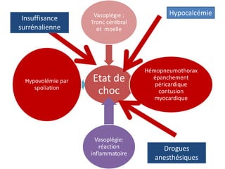 Etat de
choc
Vasoplégie :
Tronc cérébral
et moelle
Hémopneumothorax
épanchement
péricardique
contusion
myocardique
Vasoplégie:
réaction
inflammatoire
Hypovolémie par
spoliation
Drogues
anesthésiques
Insuffisance
surrénalienne
Hypocalcémie
 