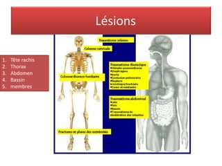 Lésions
1. Tête rachis
2. Thorax
3. Abdomen
4. Bassin
5. membres
 