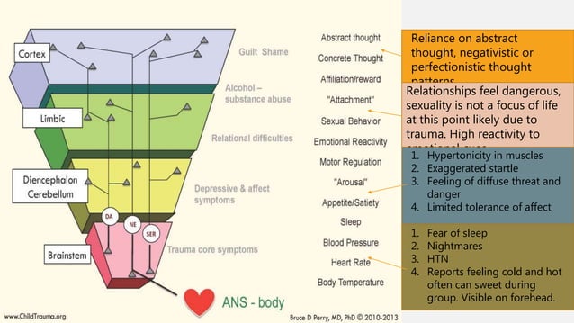 Polyvagal theory case vingette (health-ptsd-microagressions)