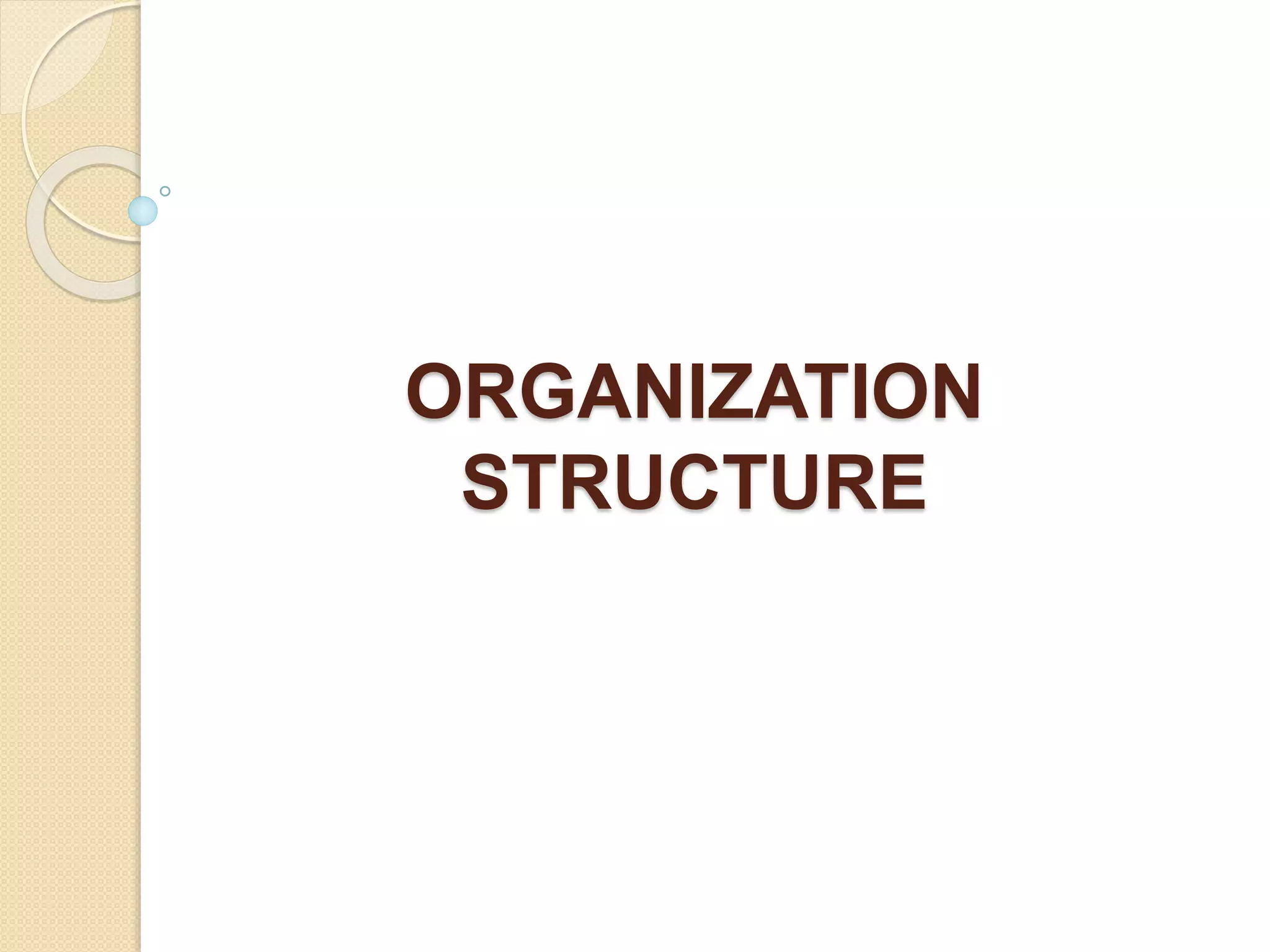 ORGANIZATION
STRUCTURE
 