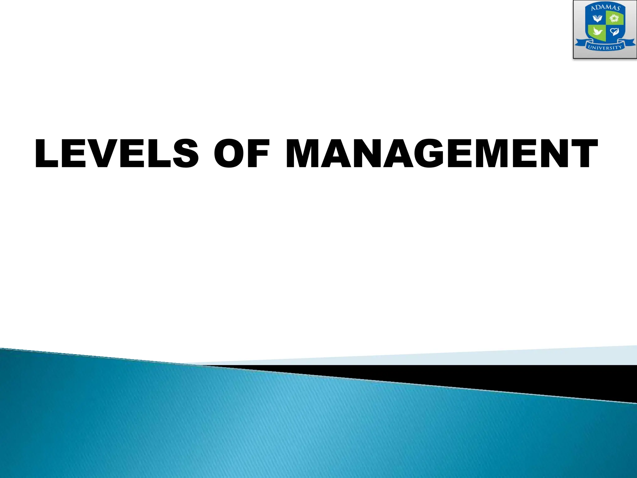 LEVELS OF MANAGEMENT
 
