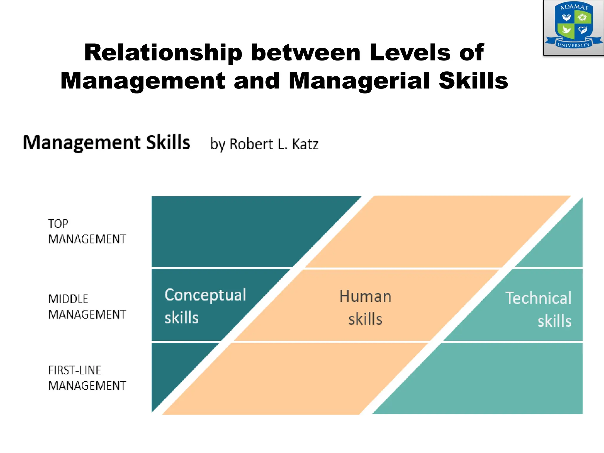 Relationship between Levels of
Management and Managerial Skills
 
