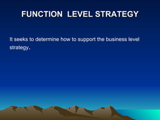 FUNCTION  LEVEL STRATEGY It seeks to determine how to support the business level strategy . 