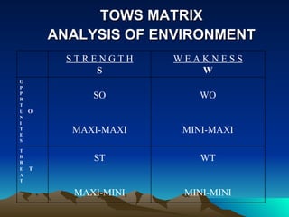 TOWS MATRIX ANALYSIS OF ENVIRONMENT WT MINI-MINI ST MAXI-MINI T H R E  T A T WO MINI-MAXI SO MAXI-MAXI O P P R T U  O N I T E S W E A K N E S S W S T R E N G T H S 