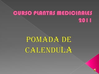 CURSO PLANTAS MEDICINALES 2011 POMADA DE  CALENDULA 