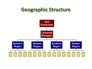 Geographic Structure
Northern
Region
Western
Region
Southern
Region
Eastern
Region
Corporate
Managers
CEO
Corporation
 