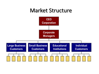 Market Structure
Large Business
Customers
Small Business
Customers
Educational
Institutions
Individual
Customers
Corporate
Managers
CEO
Corporation
 
