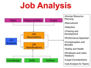 286
Job Analysis
Tasks Responsibilities Duties
Job
Analysis
Job
Descriptions
Job
Specifications
Knowledge Skills Abilities
Human Resource
Planning
Recruitment
Selection
Training and
Development
Performance Appraisal
Compensation and
Benefits
Safety and Health
Employee and Labor
Relations
Legal Considerations
Job Analysis for Teams
 