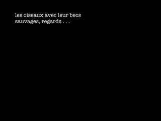 les oiseaux avec leur becs sauvages, regards . . . 