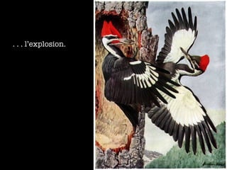 . . . l’explosion. 