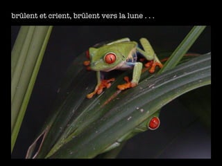 br ûlent et crient, brûlent vers la lune . . . 