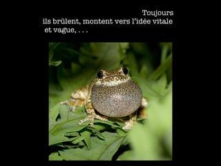   Toujours ils br ûlent, montent vers l’idée vitale   et vague,  . . . 