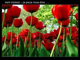 vert violent — je peux vous dire . . . 