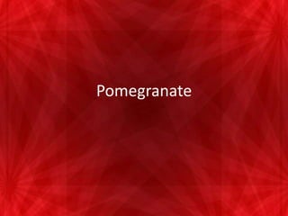Pomegranate
 