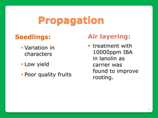 22
Propagation
Seedlings:
 Variation in
characters
 Low yield
 Poor quality fruits
Air layering:
 treatment with
10000ppm IBA
in lanolin as
carrier was
found to improve
rooting.
 