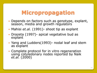 24
Micropropagation
 Depends on factors such as genotype, explant,
season, media and growth regulators
 Mahisi et.al. (1991)- shoot tip as explant
 Drazeta (1997)- apical vegetative bud as
explant
 Yang and Ludders(1993)- nodal leaf and stem
as explant
 Complete protocol for in vitro regeneration
using cotyledonary nodes reported by Naik
et.al. (2000)
 