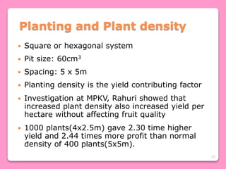 25
Planting and Plant density
 Square or hexagonal system
 Pit size: 60cm3
 Spacing: 5 x 5m
 Planting density is the yield contributing factor
 Investigation at MPKV, Rahuri showed that
increased plant density also increased yield per
hectare without affecting fruit quality
 1000 plants(4x2.5m) gave 2.30 time higher
yield and 2.44 times more profit than normal
density of 400 plants(5x5m).
 