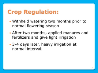 34
Crop Regulation:
 Withheld watering two months prior to
normal flowering season
 After two months, applied manures and
fertilizers and give light irrigation
 3-4 days later, heavy irrigation at
normal interval
 