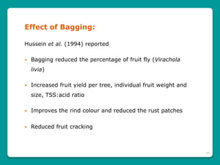 38
Effect of Bagging:
Hussein et al. (1994) reported
 Bagging reduced the percentage of fruit fly (Virachola
livia)
 Increased fruit yield per tree, individual fruit weight and
size, TSS:acid ratio
 Improves the rind colour and reduced the rust patches
 Reduced fruit cracking
 