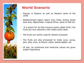 4
World Scenario
 Popular in Eastern as well as Western parts of the
world
 Mediterranean region, Spain, Iran, India, Turkey, South
East Asia, Afghanistan, tropical Africa, parts of USA etc
 It is grown for its fully luscious grains called ‘Arils’; the
fruits are very attractive with sweet acidic taste
 The fruits are mainly used for dessert purposes
 The fruits are also processed to make juice, syrup,
jam, jelly, wine, to flavour cakes, baked apples, etc
 Of late, its nutritional and medicinal values are given
ample importance
 