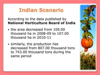 5
Indian Scenario
According to the data published by
National Horticulture Board of India
 the area decreased from 109.00
thousand ha in 2008-09 to 107.00
thousand ha in 2010-11
 similarly, the production has
decreased from 807.00 thousand tons
to 743.00 thousand tons during the
same period
 
