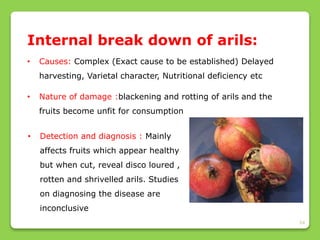 54
Internal break down of arils:
• Causes: Complex (Exact cause to be established) Delayed
harvesting, Varietal character, Nutritional deficiency etc
• Nature of damage :blackening and rotting of arils and the
fruits become unfit for consumption
• Detection and diagnosis : Mainly
affects fruits which appear healthy
but when cut, reveal disco loured ,
rotten and shrivelled arils. Studies
on diagnosing the disease are
inconclusive
 