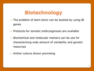 58
Biotechnology
 The problem of stem borer can be tackled by using Bt
genes
 Protocols for somatic embryogenesis are available
 Biochemical and molecular markers can be use for
characterizing wide amount of variability and genetic
resources
 Anther culture shown promising
 