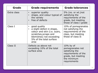 59
Grade Grade requirements Grade tolerances
Extra class • superior quality
• shape, and colour typical of
the variety
• free of defects
5% (no. or wt.)not
satisfying the
requirements of the
grade, but meeting
those of class I grade
Class I • good quality
• a slight defect in shape,
colour and skin (i.e. scars,
scratches,scraps and
blemishes) not exceeding
5% of the total surface
area
10% of pomegranates
not satisfying the
requirements of the
class, but meeting
those of class II
Class II Defects as above not
exceeding 10% of the total
surface area
10% by of
pomegranates not
satisfying the
requirements of the
grade, but meeting
the minimum
requirements
 