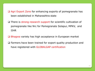 65
 Agri Export Zone for enhancing exports of pomegranate has
been established in Maharashtra state
 There is strong research support for scientific cultivation of
pomegranate like Nrc for Pomegranate Solapur, MPKV, and
IIHR
 Bhagwa variety has high acceptance in European market
 Farmers have been trained for export quality production and
have registered with GLOBALGAP certification
 