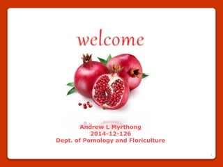 1
Andrew L Myrthong
2014-12-126
Dept. of Pomology and Floriculture
 